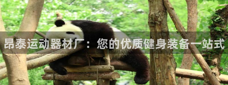 意昂体育3招商电话号码是多少：昂泰运动器材厂：您的优