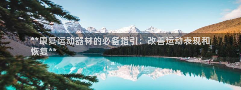 意昂平台体育：**康复运动器材的必备指引：改善运动表