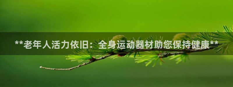 意昂3集团官网网址：**老年人活力依旧：全身运动器材