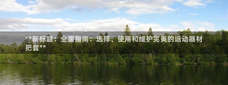 意昂体育3招商：**新标题：全面指南：选择、使用和维护完美的