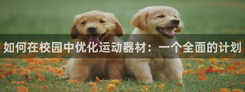 意昂体育3平台是正规平台吗安全吗