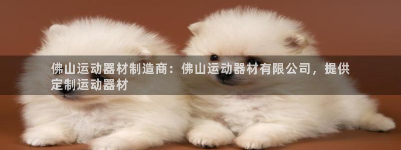 意昂3官方：佛山运动器材制造商：佛山运动器材有限公司