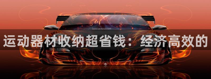 意昂3集团E.ON：运动器材收纳超省钱：经济高效的