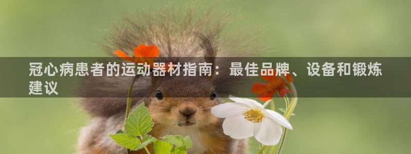 意昂3娱乐网站：冠心病患者的运动器材指南：最佳品牌、