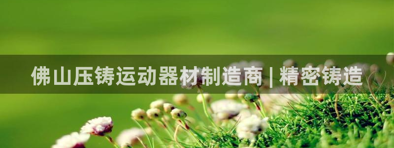 意昂体育3是干嘛的公司