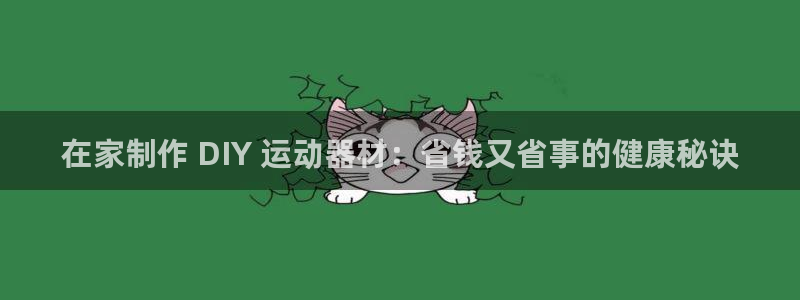 意昂体育3平台注册要钱吗：在家制作 DIY 运动器材
