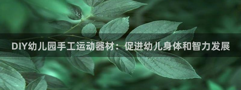 意昂体育3平台注册流程图：DIY幼儿园手工运动器材：
