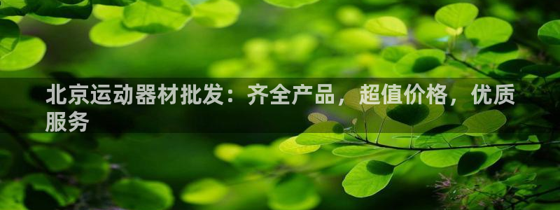 德国意昂3集团：北京运动器材批发：齐全产品，超值价格