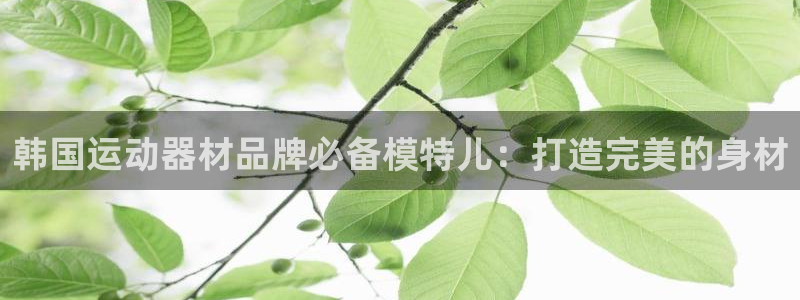 意昂3集团官网网址：韩国运动器材品牌必备模特儿：打造