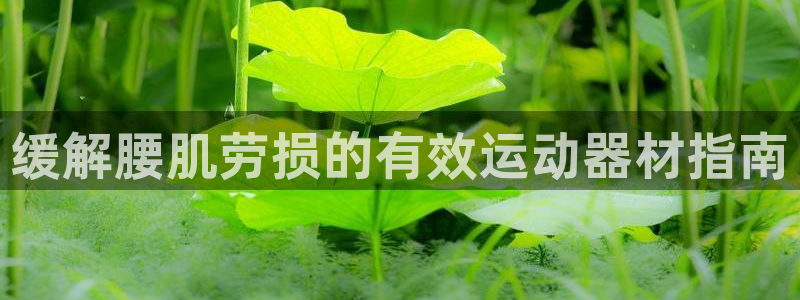 意昂体育3注册：缓解腰肌劳损的有效运动器材指南