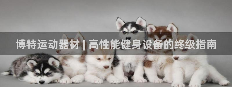 意昂体育3招商电话号码查询是多少：博特运动器材 | 