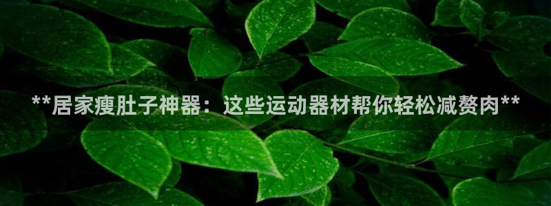 意昂体育3平台APP：**居家瘦肚子神器：这些运动器