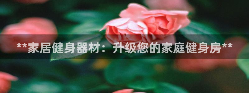 意昂3五金厂：**家居健身器材：升级您的家庭健身房*