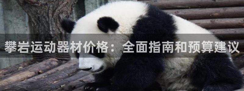 意昂3集团官网网址：攀岩运动器材价格：全面指南和预算建议