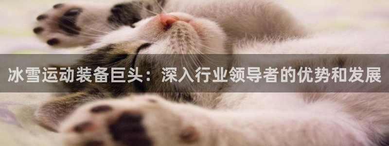 意昂体育3招商电话是多少啊：冰雪运动装备巨头：深入行业领导者