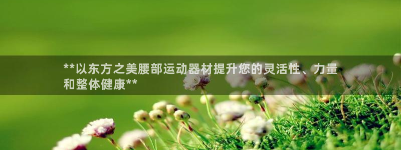 意昂集团官网：**以东方之美腰部运动器材提升您的灵活性、力量