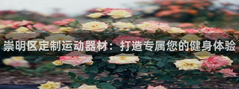 意昂平台体育：崇明区定制运动器材：打造专属您的健身体