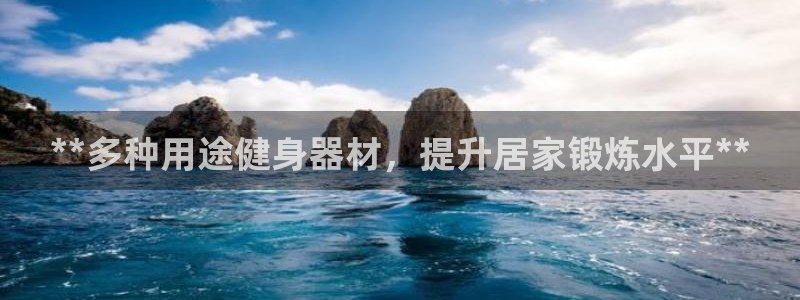 意昂3新能源：**多种用途健身器材，提升居家锻炼水平