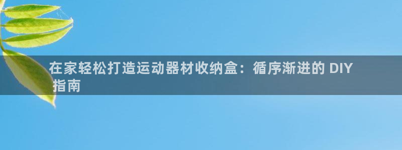 意昂体育3开户：在家轻松打造运动器材收纳盒：循序渐进