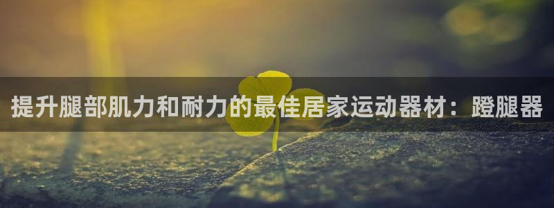 意昂3新能源：提升腿部肌力和耐力的最佳居家运动器材：