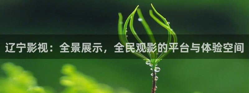 b影视：辽宁影视：全景展示，全民观影的平台与体验空间
