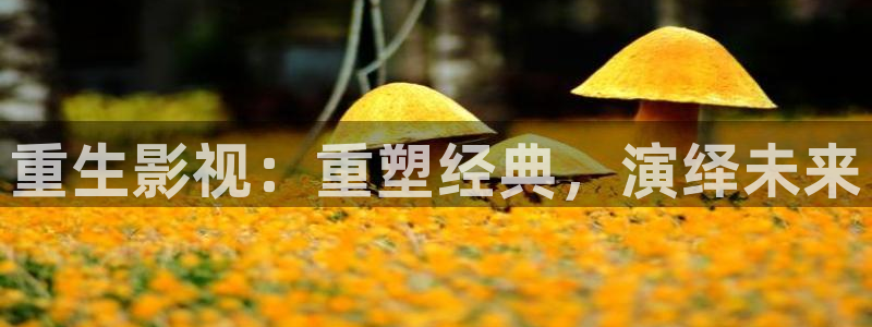 aikb影院：重生影视：重塑经典，演绎未来