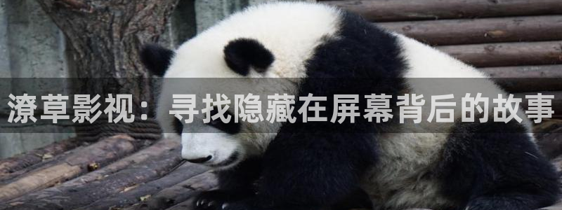 大b影院：潦草影视：寻找隐藏在屏幕背后的故事