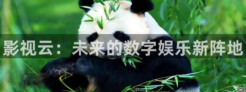 全国最大b影院：影视云：未来的数字娱乐新阵地