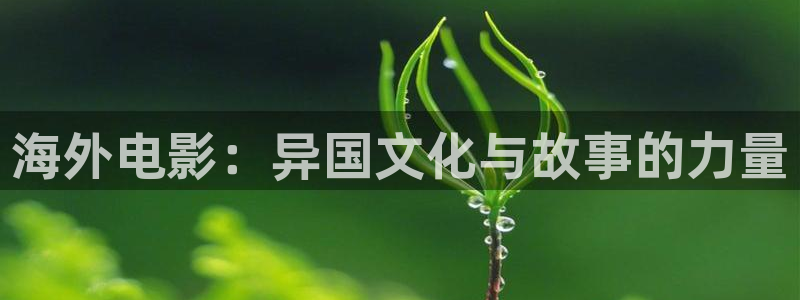 91b影院：海外电影：异国文化与故事的力量