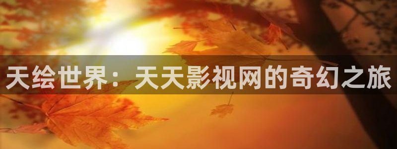 视频b影院：天绘世界：天天影视网的奇幻之旅