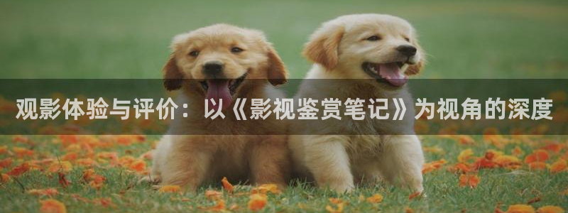 亚洲b影院：观影体验与评价：以《影视鉴赏笔记》为视角的深度